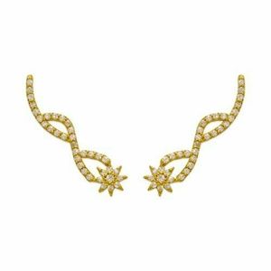 14k Gold Fancy Climber & Crawler Earrings